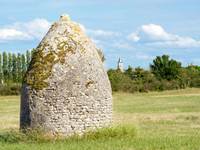 les saloches nieulle sur seudre