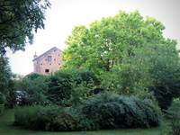 View from the garden