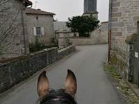 Le jolie village de Saint-Sylvestre dans les Monts du Limousin - Ferme de la Chevêche