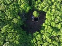 Bulle au cœur de la foret vue du ciel