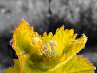 Photoroom-20240323_075805-01