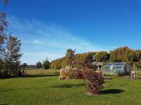 Vue sur le jardin et la serre