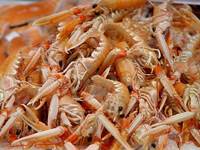 Langoustines à déguster sans modération