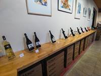 Visite de cave et dégustation de vins bios