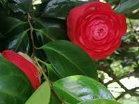 IMG_20240228_234555
