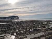Mont-Calme-Gîte-Criel-Sur-Mer -faune flore