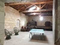 41 cuvier ping pong