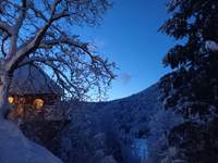 cabane dans les arbres en Alsace