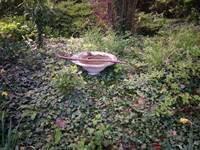 abreuvoir pour abeilles