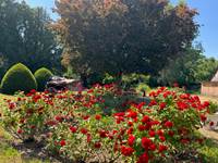 Le Jardin