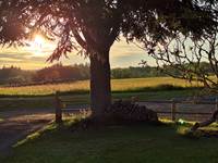 Coucher de soleil