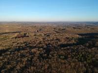 La forêt tout autour