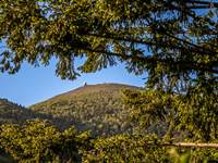 Le Grand Ballon depuis les cabanes dans les arbres