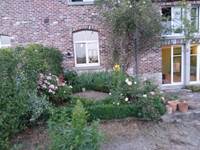 jardin fleuri