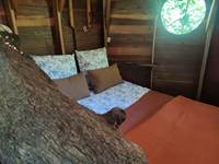 Cabane dans les arbres