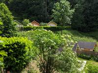 PXL_20240620_132539040.MP (1)