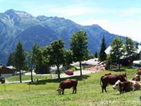 Vue du chalet