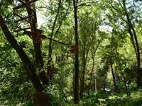 Le parc