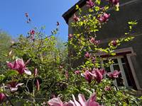 La printemps et ses fleurs