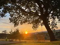 83d9b0ea-a8d2-4153-b845-7d0711e04286