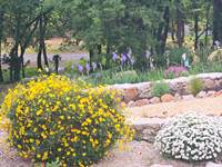 Jardin (1)