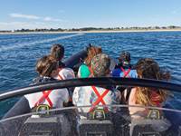 Croisière semi-rigide