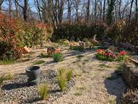 IMG-20260325-WA0003