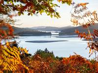 Paysage d'automne