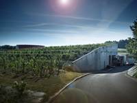 PIERRE & BERTRAND COULY - Les vignes