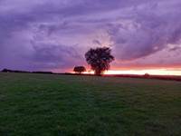 LES-CHAUMES-VIOLETTES-Ciel