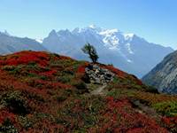 Aiguillette des Posettes - Vallorcine