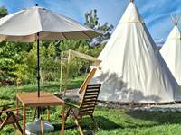 Tipis 11