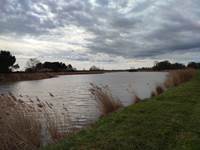 Etang de Brenne