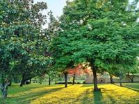 Parc