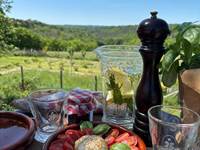 Les Volets Verts - de´jeuner au jardin