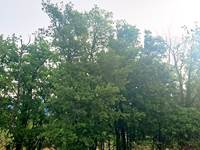 Jardin (2)
