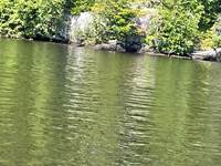 Le lac