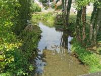 Rivière La Verdonnelle traversant le village de Verdon