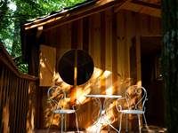 cabane dans les arbres terrasse