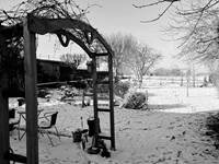 jardin jour de neige