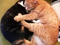 Sissi & Winnie