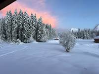 IMG_0588