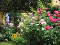 Jardin fleuri