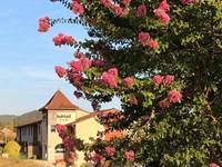 IMG-20260730-WA0016