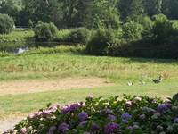 Parc du château de la Caloterie