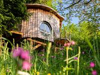 cabane dans les arbre en amoureux