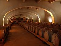 Salle de Fûts de chêne dans le LUBERON