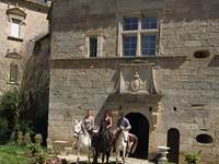 3 chevaux devant la porte