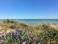 Les plages de l'île d'Oléron sont toutes proches de la maison