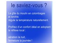 jardin, nature, forêt, rivière